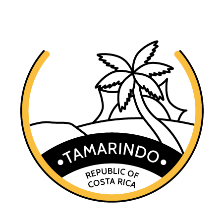volunteer work in tamarindo costa rica