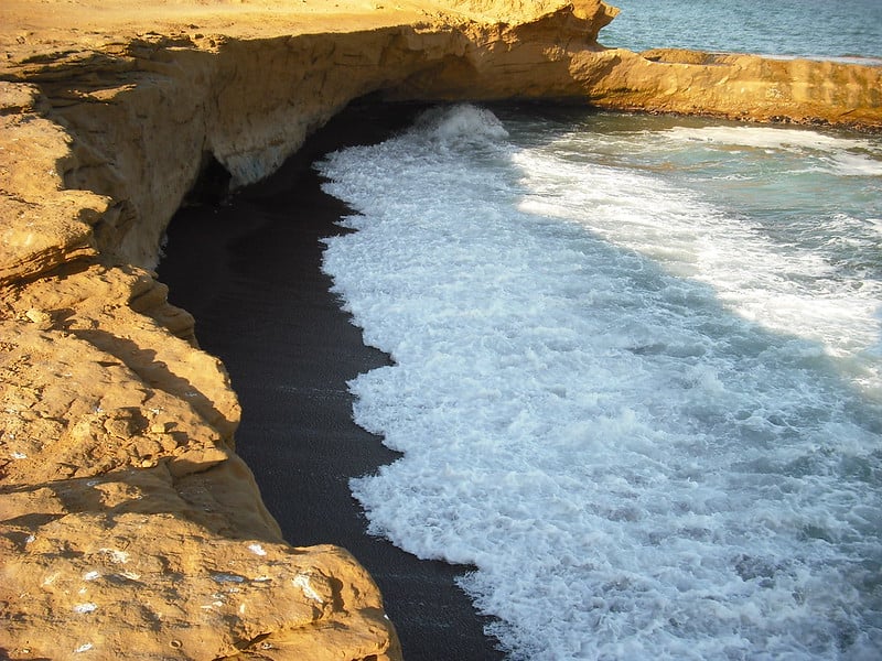 peruvian coast paracas