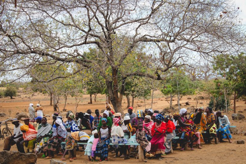 Tanzania education system