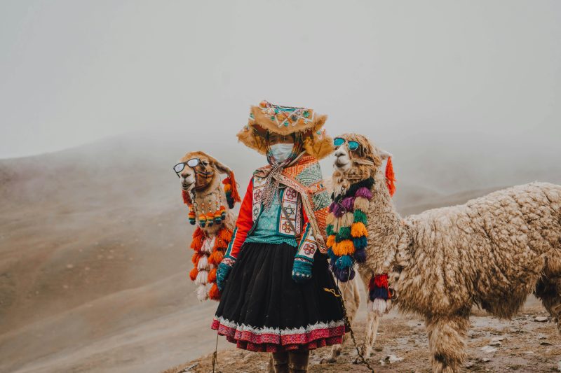 what is ethnocentrism