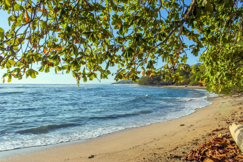 pura vida
